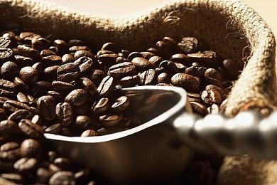 《星空》90%的星球将没有生命