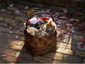 《漫漫长夜》包含免费更新 视觉增强特效