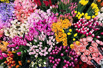 《星际海盗》大型更新“采掘”上线 新任务强力BOSS登场